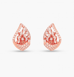 The Scintillating Earrings